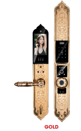 Khóa cửa gỗ AVOLOCK AC 996F