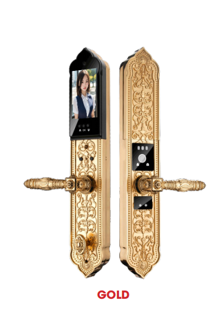 Khóa cửa gỗ AVOLOCK AC 998F