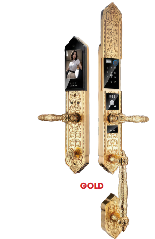 Khóa cửa gỗ AVOLOCK AC 999F