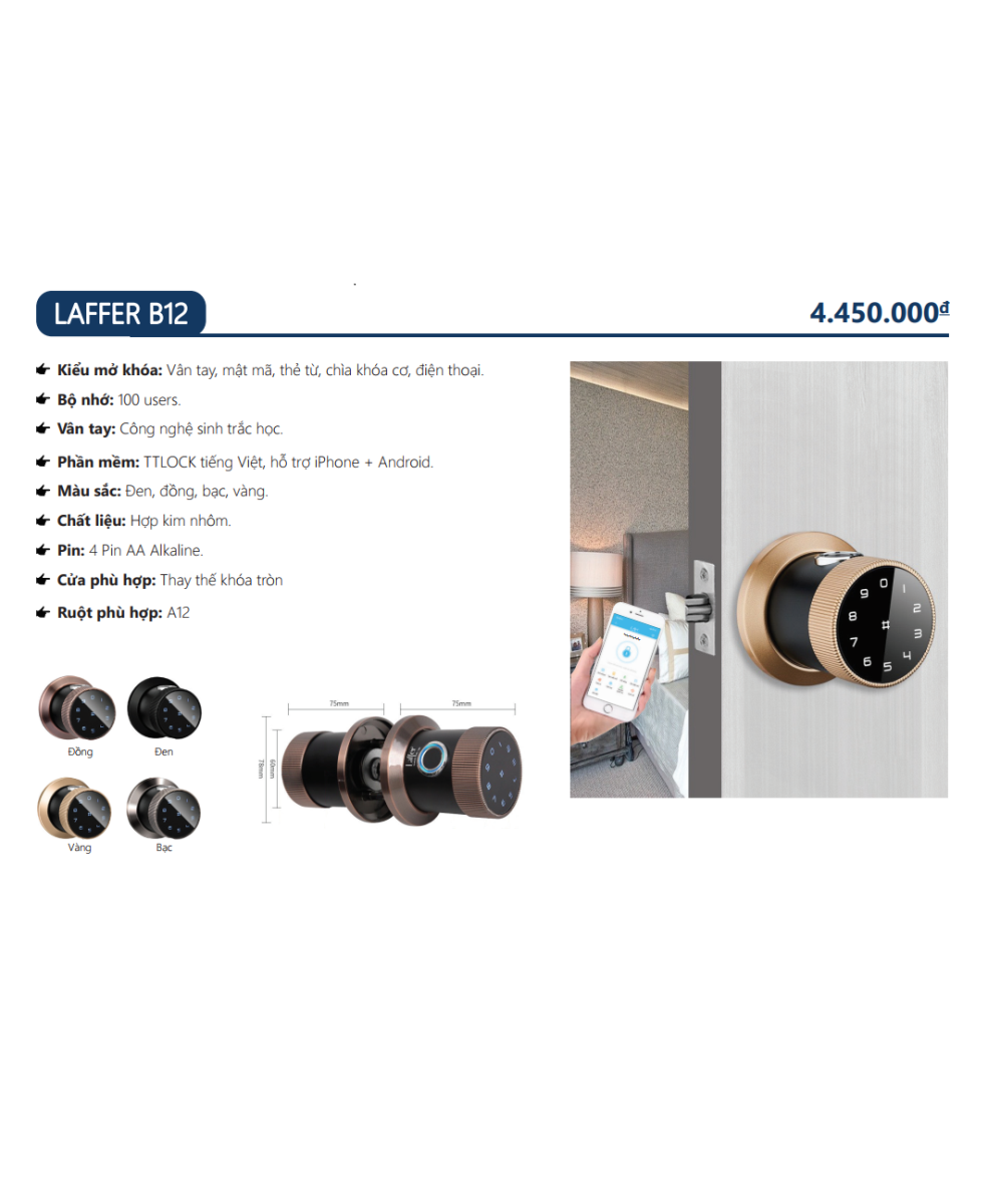 Khóa cửa vân tay thay thế khóa tròn - LAFFER B12