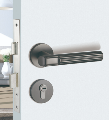 Khóa cửa phân thể S67
